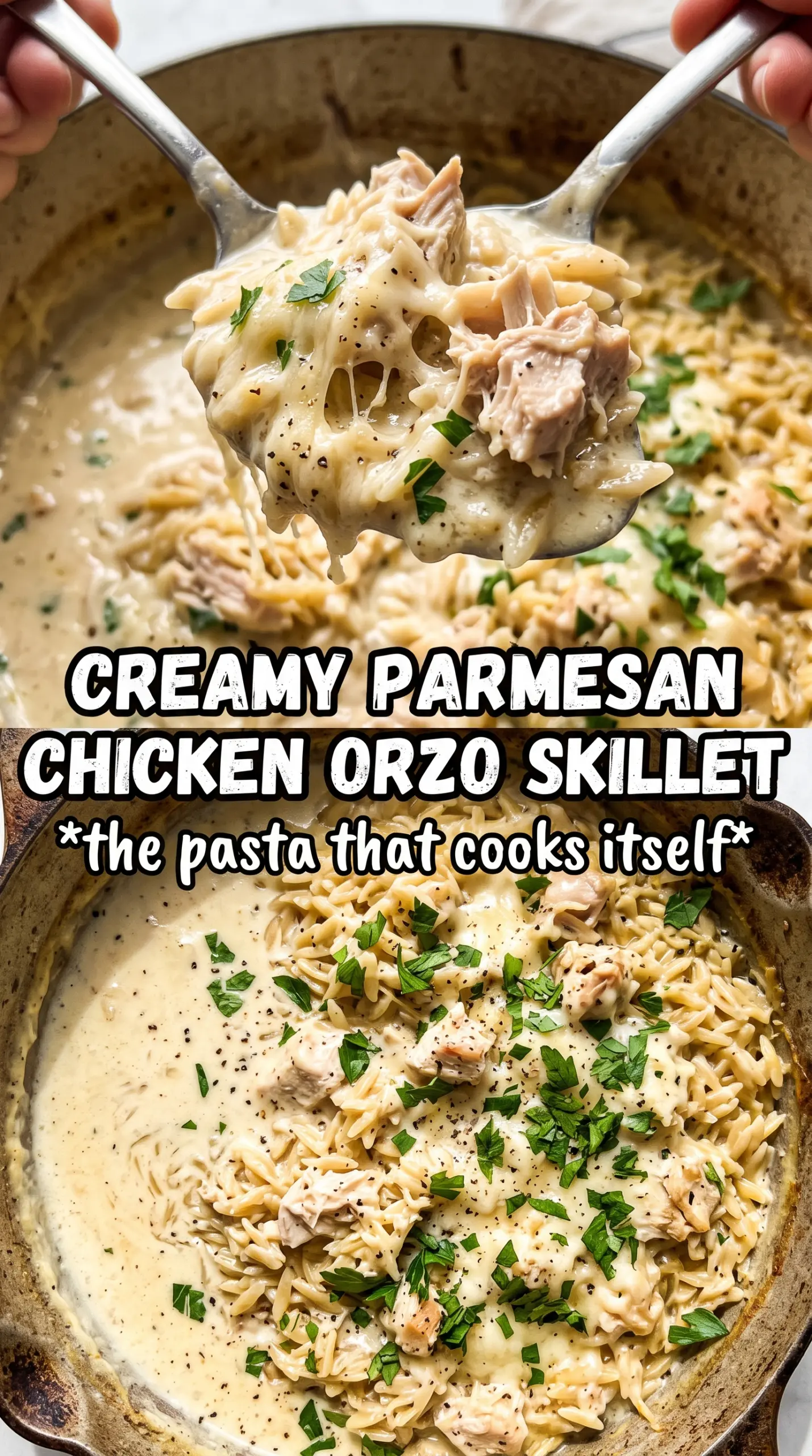 Creamy Parmesan Chicken and Orzo creamy Parmesan one-pan